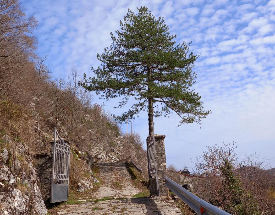 Konak Ugnji-Village Cetinje Luaran gambar