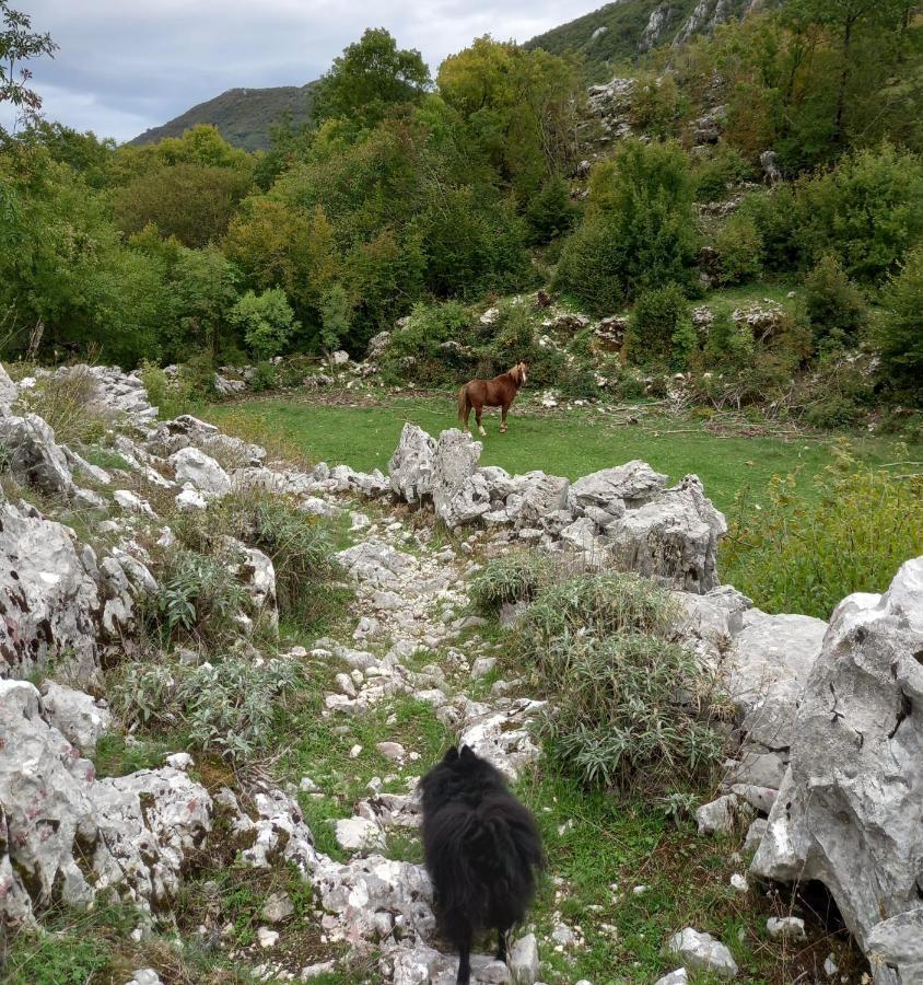 Konak Ugnji-Village Cetinje Luaran gambar