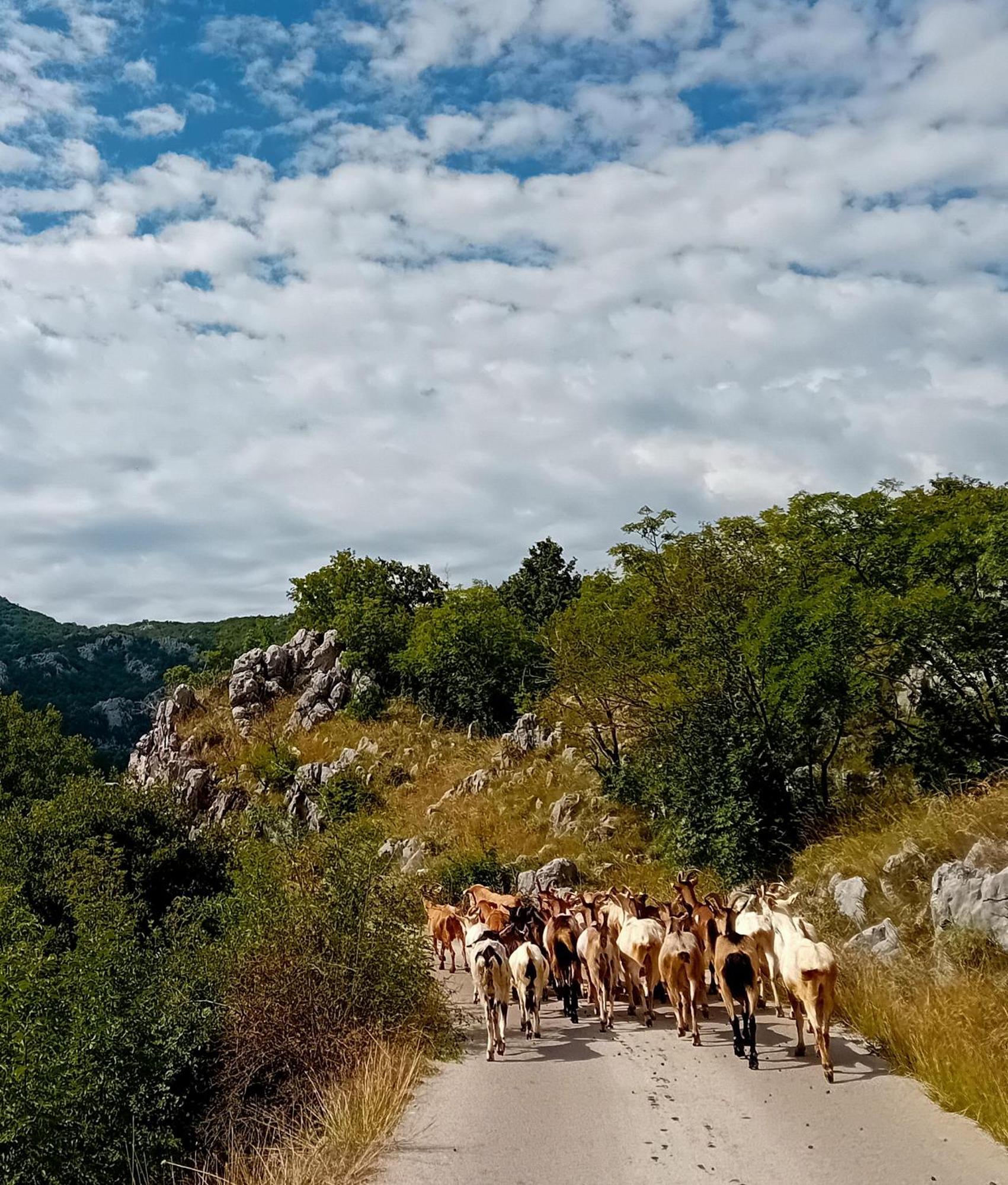 Konak Ugnji-Village Cetinje Luaran gambar