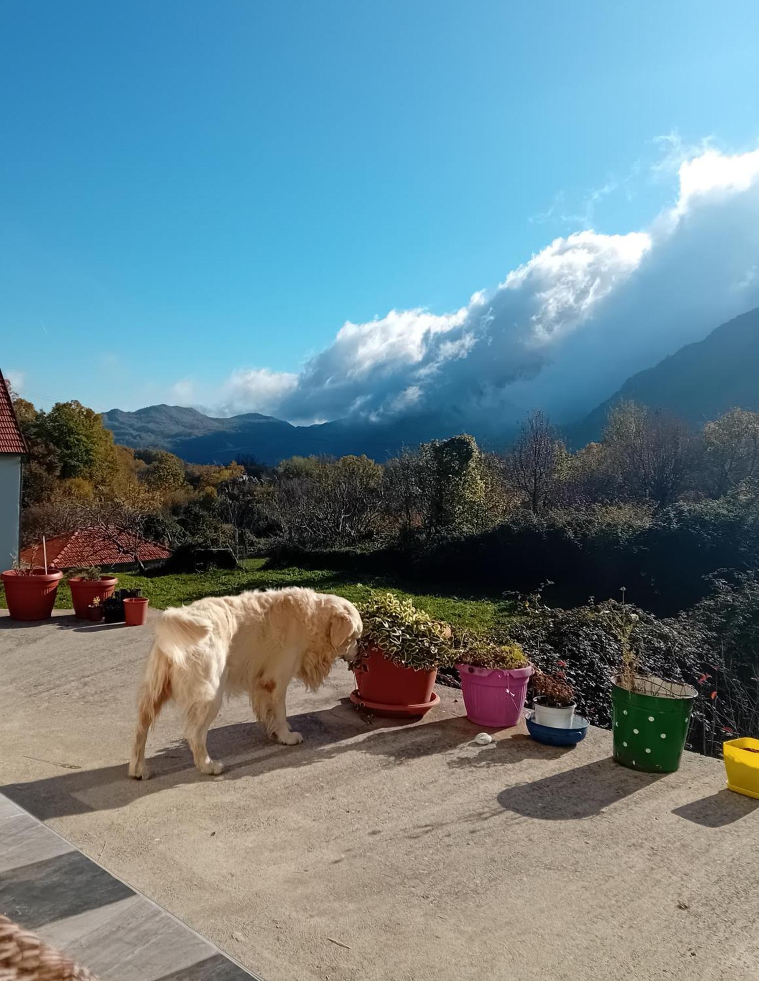 Konak Ugnji-Village Cetinje Luaran gambar